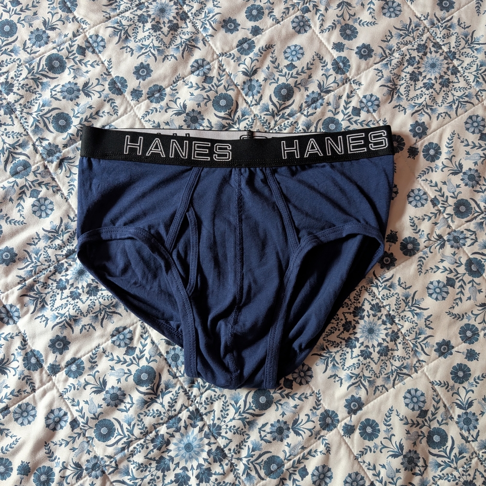 Hanes Men's Blue Underwear